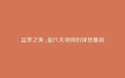 盆景之美,盈尺天地间的绿意雅韵