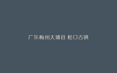 广东梅州大埔县:松口古镇