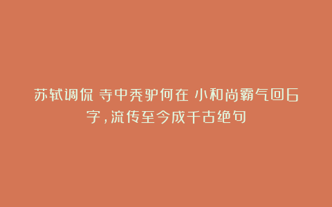 苏轼调侃:寺中秃驴何在?小和尚霸气回6字,流传至今成千古绝句