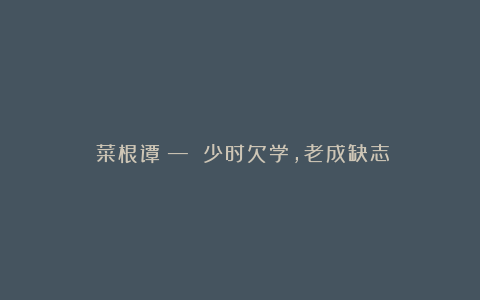 《菜根谭》— 少时欠学,老成缺志