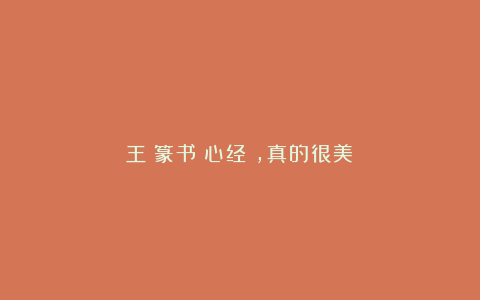 王褆篆书《心经》，真的很美！