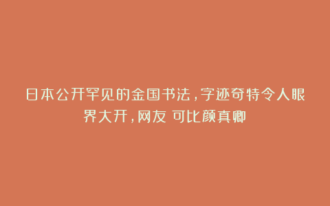 日本公开罕见的金国书法,字迹奇特令人眼界大开,网友:可比颜真卿!