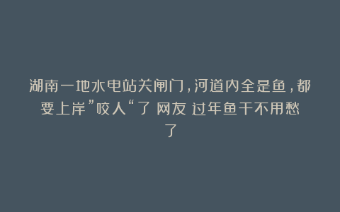 湖南一地水电站关闸门,河道内全是鱼,都要上岸”咬人“了!网友:过年鱼干不用愁了