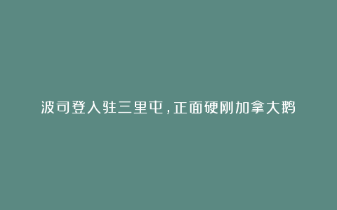 波司登入驻三里屯,正面硬刚加拿大鹅?