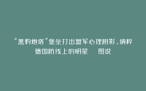 “黑豹炮塔”堡垒打出盟军心理阴影,纳粹德国防线上的明星 | 图说