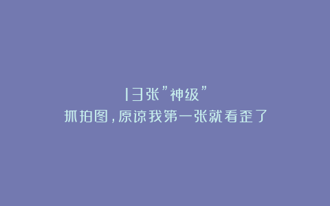 13张”神级”抓拍图，原谅我第一张就看歪了