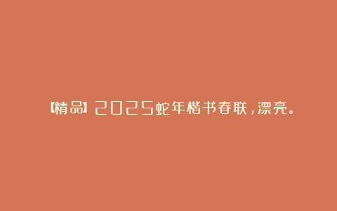 【精品】2025蛇年楷书春联,漂亮。