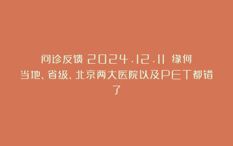 问诊反馈(2024.12.11):缘何当地、省级、北京两大医院以及PET都错了?