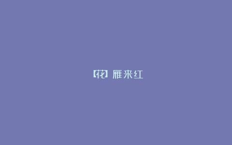 【花】雁来红