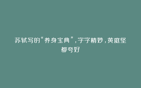苏轼写的“养身宝典”,字字精妙,黄庭坚都夸好!