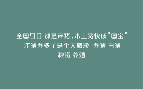 全国98%都是洋猪,本土猪快成“国宝”!洋猪养多了是个大威胁?|养猪|白猪|种猪|养殖
