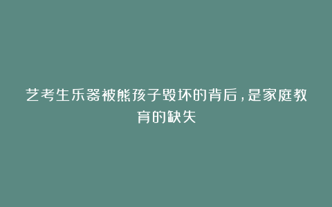艺考生乐器被熊孩子毁坏的背后，是家庭教育的缺失