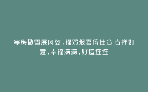 寒梅傲雪展风姿,福鸡报喜传佳音!吉祥如意,幸福满满,好运连连!