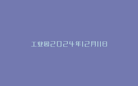 工业园2024年12月11日