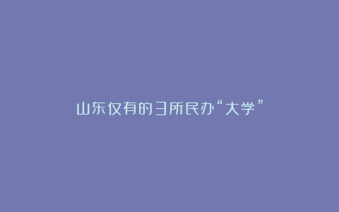 山东仅有的3所民办“大学”