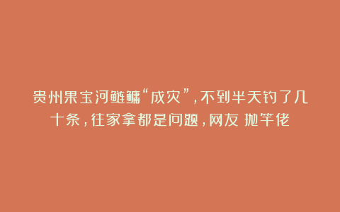 贵州果宝河鲢鳙“成灾”,不到半天钓了几十条,往家拿都是问题,网友:抛竿佬