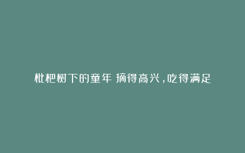 枇杷树下的童年|摘得高兴,吃得满足