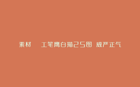 素材 | 工笔鹰白描25图 威严正气