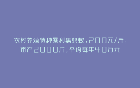 农村养殖特种暴利黑蚂蚁，200元/斤，亩产2000斤，平均每年40万元