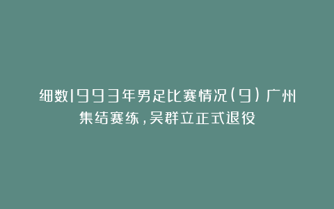 细数1993年男足比赛情况(9)：广州集结赛练，吴群立正式退役