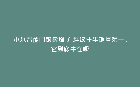 小米智能门锁卖爆了!连续4年销量第一,它到底牛在哪?