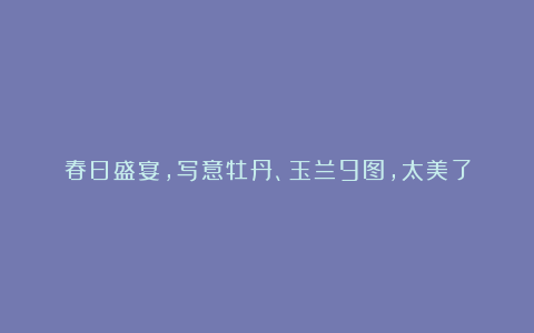春日盛宴,写意牡丹、玉兰9图,太美了