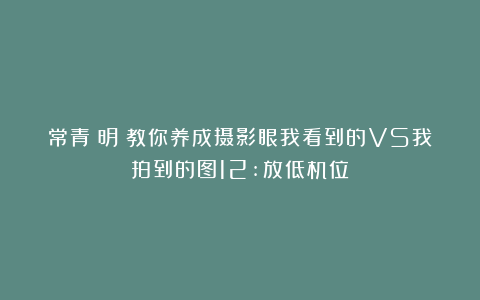 常青長明:教你养成摄影眼我看到的VS我拍到的图12:放低机位