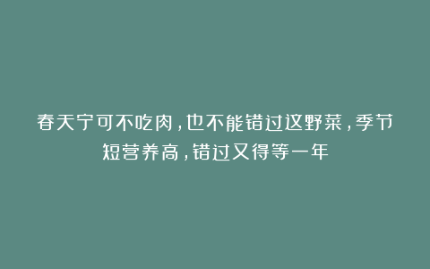 春天宁可不吃肉,也不能错过这野菜,季节短营养高,错过又得等一年