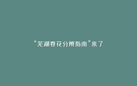 “芜湖春花分辨指南”来了!