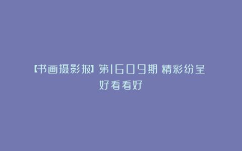 【书画摄影报】第1609期|精彩纷呈 好看看好!