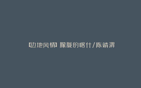 【边地风情】朦胧的喀什/陈靖渭