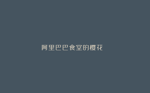 阿里巴巴食堂的樱花🌸