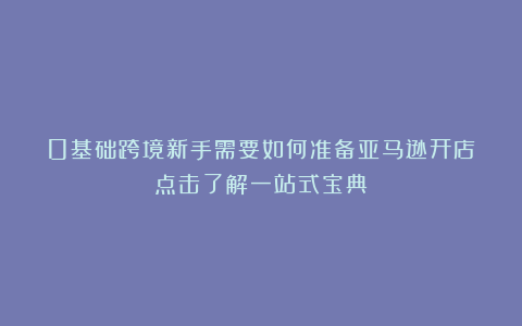 0基础跨境新手需要如何准备亚马逊开店?点击了解一站式宝典