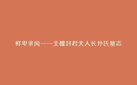 鲜卑余风——北魏封君夫人长孙氏墓志