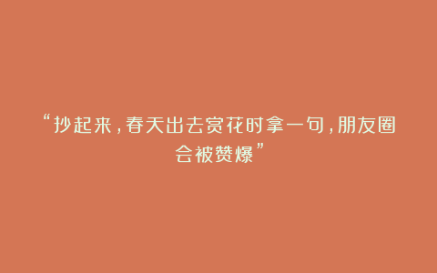 “抄起来,春天出去赏花时拿一句,朋友圈会被赞爆”