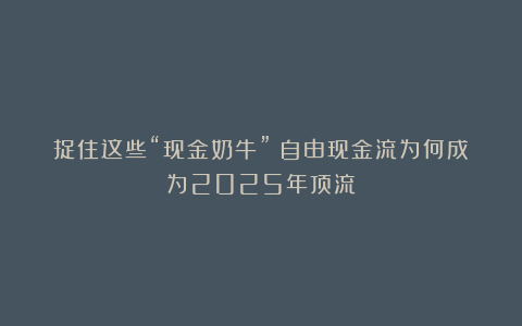 捉住这些“现金奶牛”!自由现金流为何成为2025年顶流?