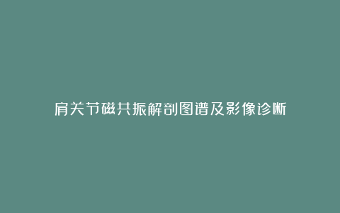 肩关节磁共振解剖图谱及影像诊断