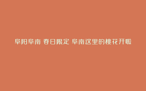阜阳阜南:春日限定!阜南这里的桃花开啦!