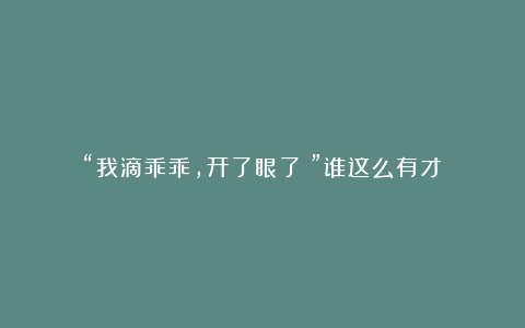 “我滴乖乖,开了眼了!”谁这么有才?