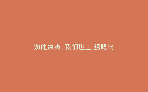 如此凉爽，我们也上（绣眼鸟）