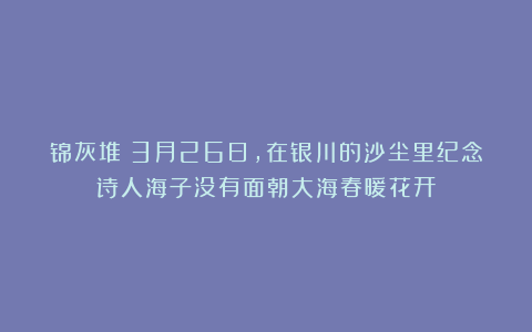 锦灰堆|3月26日,在银川的沙尘里纪念诗人海子没有面朝大海春暖花开