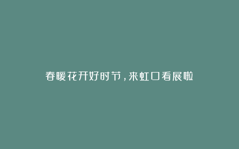 春暖花开好时节,来虹口看展啦~