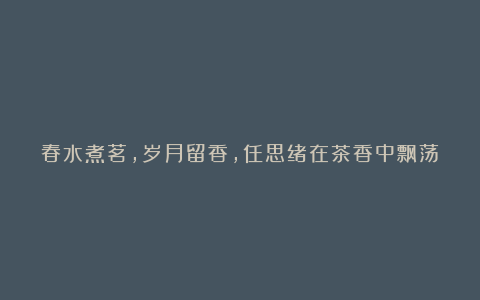 春水煮茗，岁月留香，任思绪在茶香中飘荡