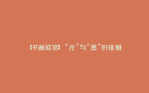 【书画欣赏】《“光”与“墨”的徘徊》