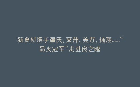 新食材携手温氏、安井、美好、扬翔……“品类冠军”走进良之隆！