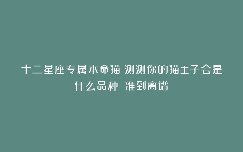 十二星座专属本命猫！测测你的猫主子会是什么品种？（准到离谱）