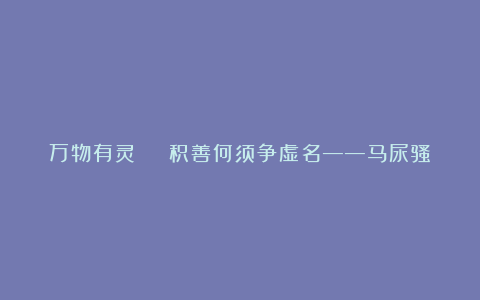 万物有灵 | 积善何须争虚名——马尿骚