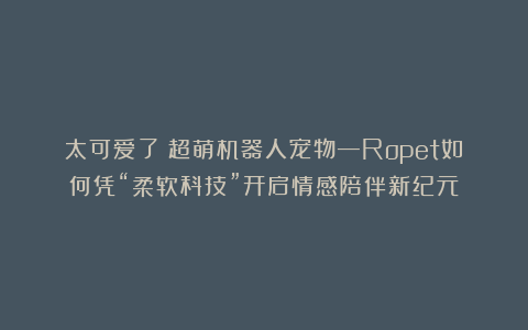 太可爱了!超萌机器人宠物—Ropet如何凭“柔软科技”开启情感陪伴新纪元