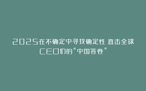 2025在不确定中寻找确定性!直击全球CEO们的“中国答卷”