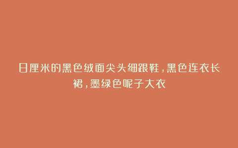 8厘米的黑色绒面尖头细跟鞋，黑色连衣长裙，墨绿色呢子大衣